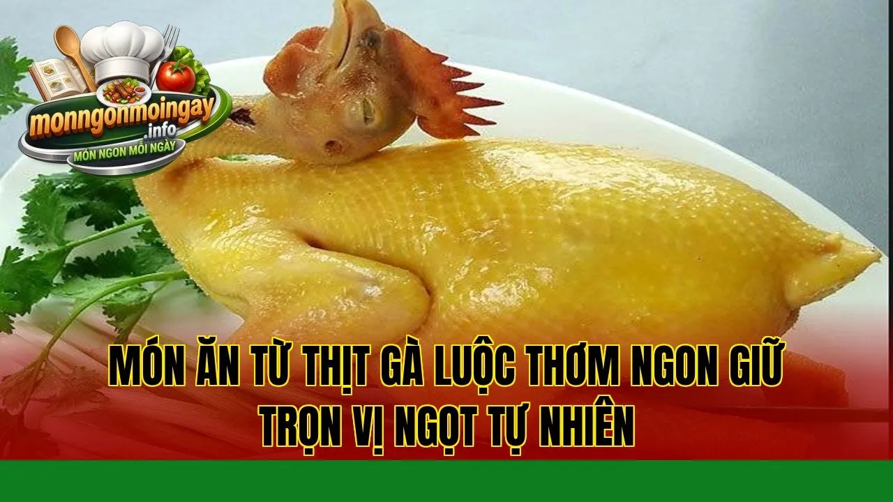món ăn từ thịt gà luộc thơm ngon giữ trọn vị ngọt tự nhiên