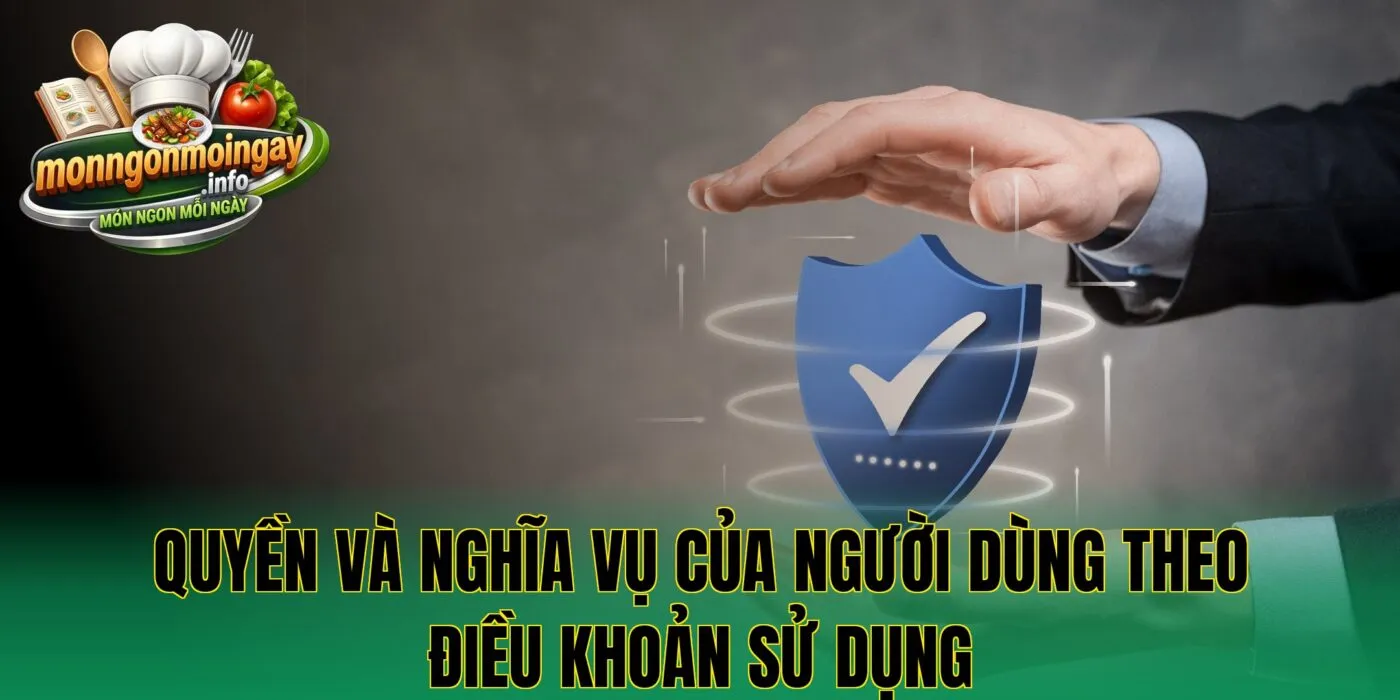 Quyền và nghĩa vụ của người dùng theo điều khoản sử dụng