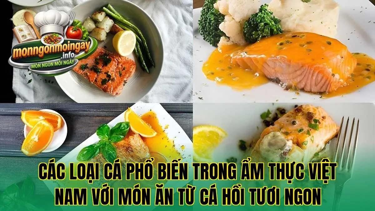 Các loại cá phổ biến trong ẩm thực Việt Nam với món ăn từ cá hồi tươi ngon
