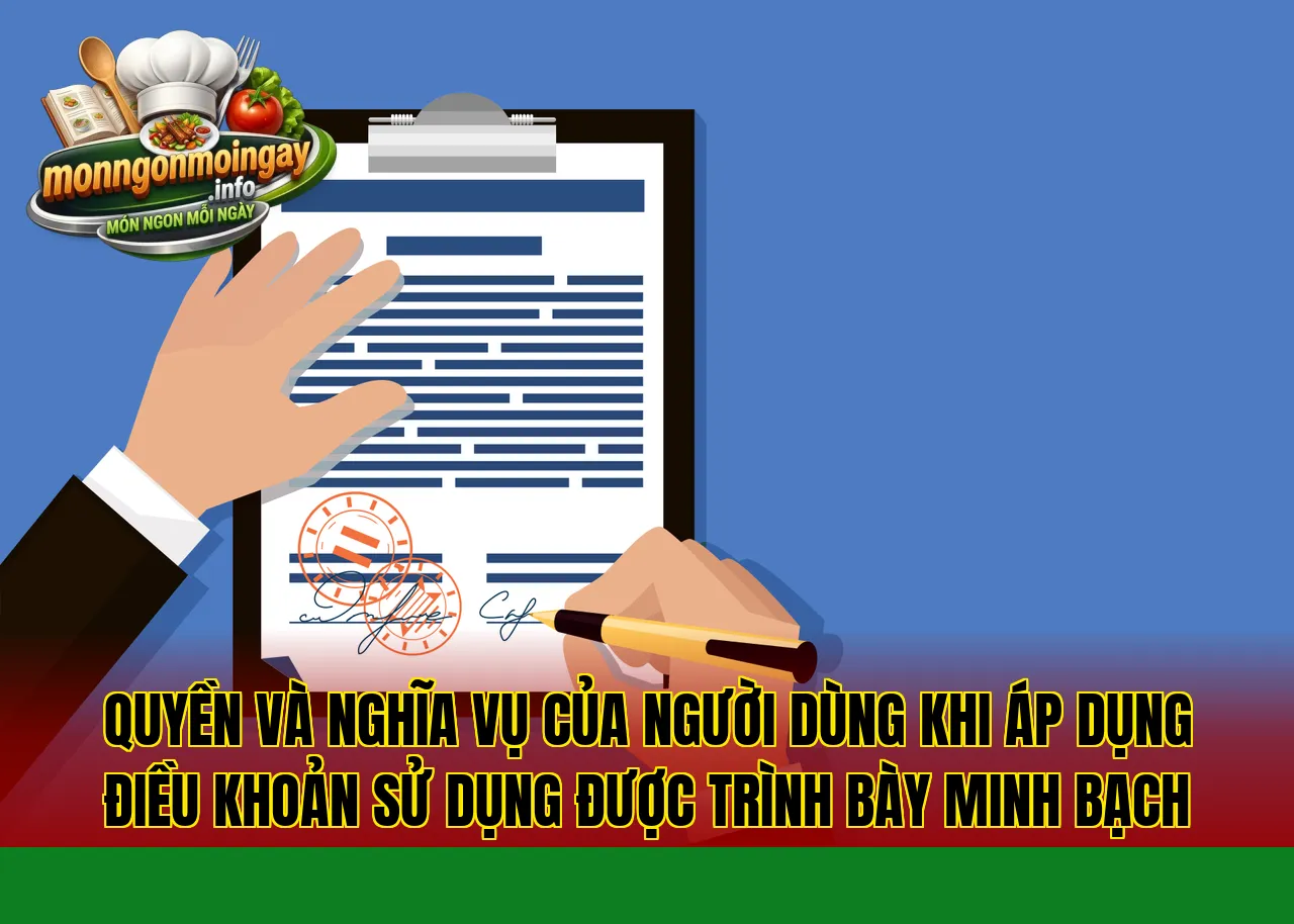 Quyền và nghĩa vụ của người dùng khi áp dụng điều khoản sử dụng được trình bày minh bạch