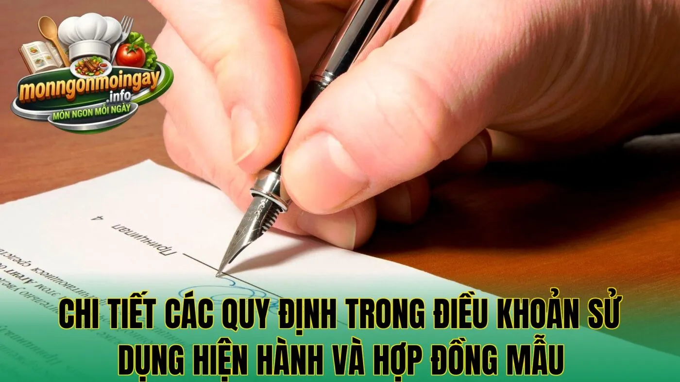 Chi tiết các quy định trong điều khoản sử dụng hiện hành và hợp đồng mẫu