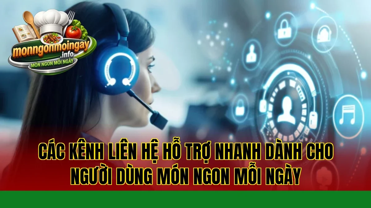 Các kênh liên hệ hỗ trợ nhanh dành cho người dùng Món Ngon Mỗi Ngày